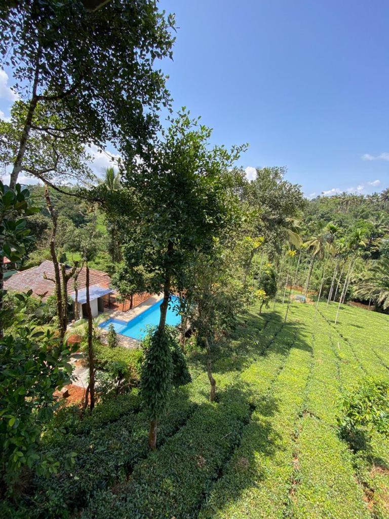 Letstay Vythiri Hill Palace Ngoại thất bức ảnh